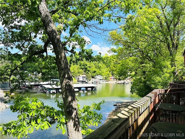 dock area featuring a water view