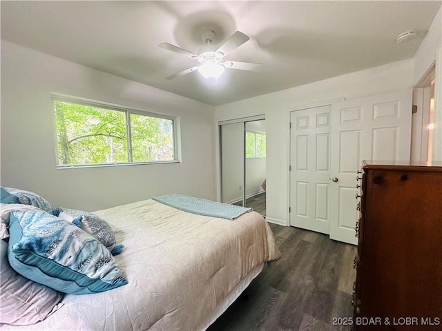 bedroom with dark wood-type flooring and ceiling fan