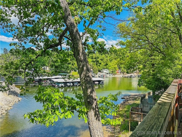 133 Polar Bear Cir Unit 21, Lake Ozark, MO 65049 - photo 35