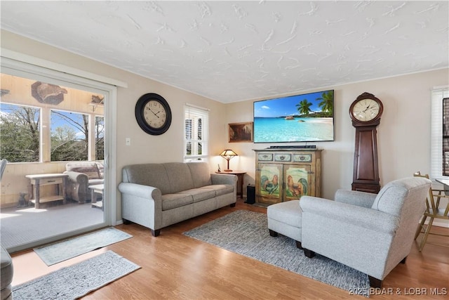 living room with wood finished floors and a textured ceiling