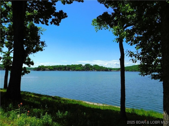 11 Chelle Dr, Rocky Mount, MO 65072 - photo 8