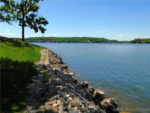 11 Chelle Dr, Rocky Mount, MO 65072 - photo 9