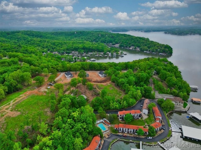 aerial view of a forest and a nearby body of water
