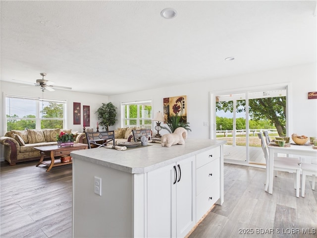 kitchen with white cabinetry, a wealth of natural light, open floor plan, and light countertops