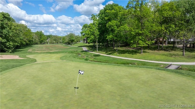 484 Hogan Dr, Lake Ozark, MO 65049 - view of property's community featuring view of scattered trees, golf course view, and a putting green