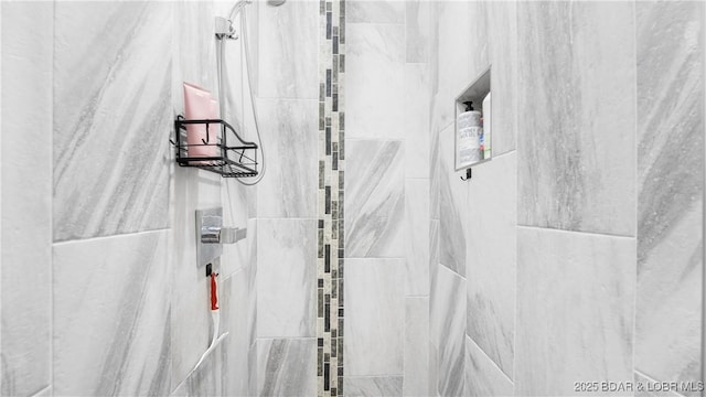 484 Hogan Dr, Lake Ozark, MO 65049 - detailed view of a tile shower
