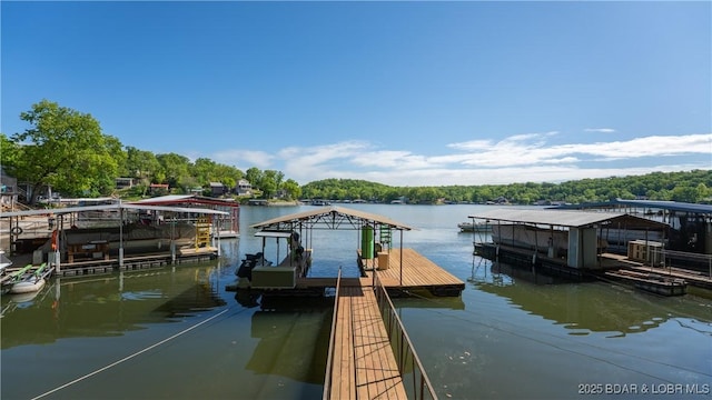 31445 Raytown Dr, Rocky Mount, MO 65072 - dock area featuring boat lift and a water view