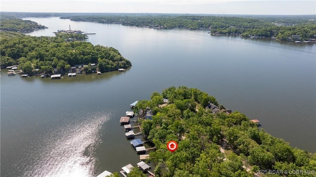 31445 Raytown Dr, Rocky Mount, MO 65072 - drone / aerial view with a water view