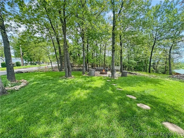 12448 Crestview Dr, Warsaw, MO 65355 - view of yard