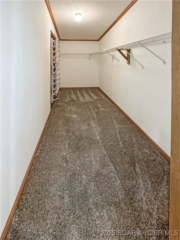 12448 Crestview Dr, Warsaw, MO 65355 - spacious closet with carpet