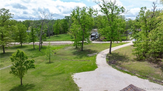 93 Misty Meadows Ln, Camdenton, MO 65020 - view of community