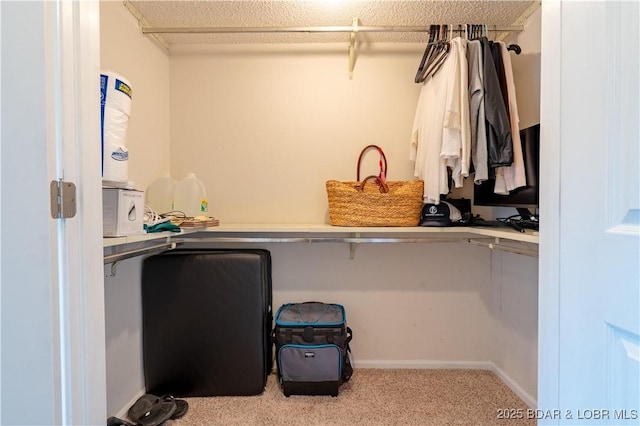 58 Jonathan Dr Unit 4B, Lake Ozark, MO 65049 - walk in closet featuring carpet