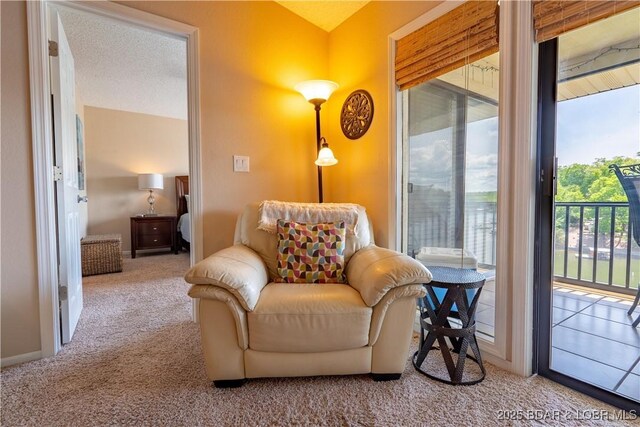 58 Jonathan Dr Unit 4B, Lake Ozark, MO 65049 - sitting room with carpet flooring