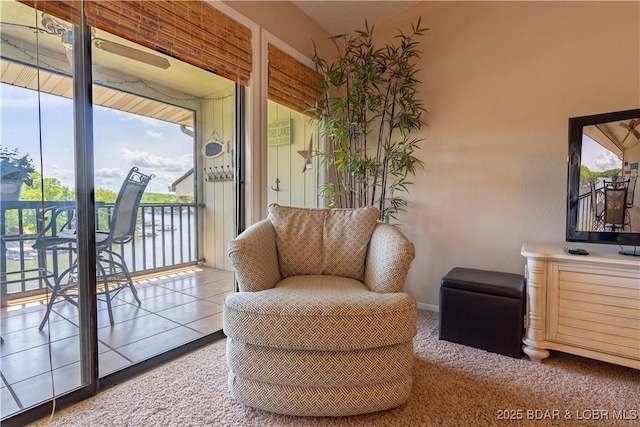 58 Jonathan Dr Unit 4B, Lake Ozark, MO 65049 - living area with carpet