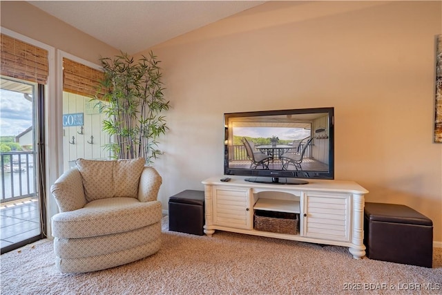58 Jonathan Dr Unit 4B, Lake Ozark, MO 65049 - sitting room with lofted ceiling, carpet, and baseboards
