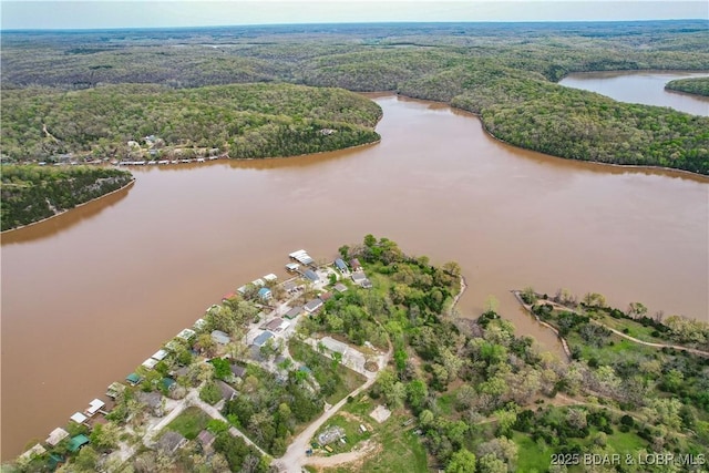 view of property location featuring a forest and a large body of water