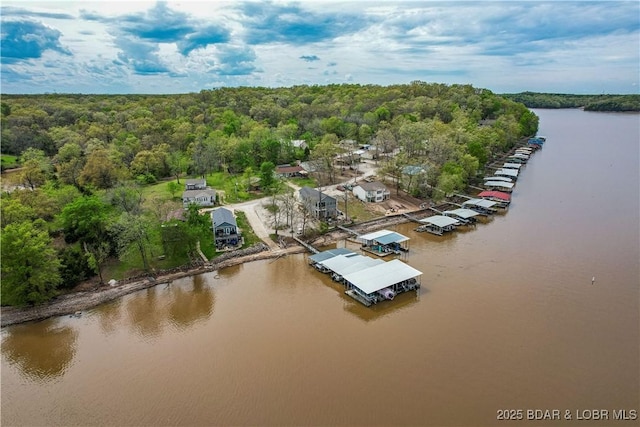 bird's eye view of a heavily wooded area and a nearby body of water