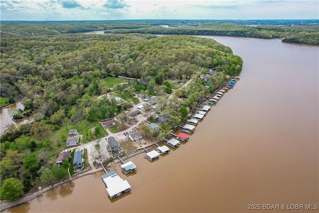 aerial overview of property's location with a heavily wooded area and a large body of water