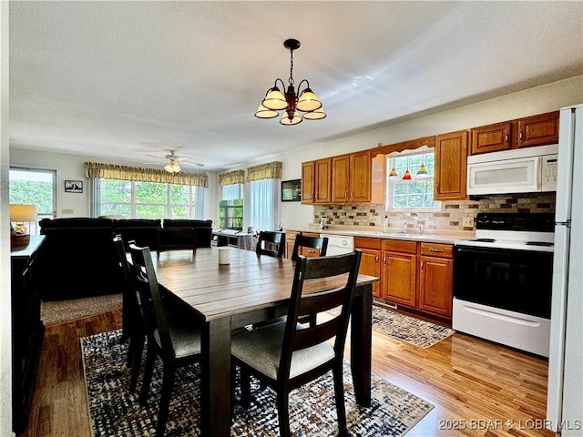 34 Glenmeadows Ct, Linn Creek, MO 65052 - dining room featuring light wood-style flooring, a chandelier, and a ceiling fan