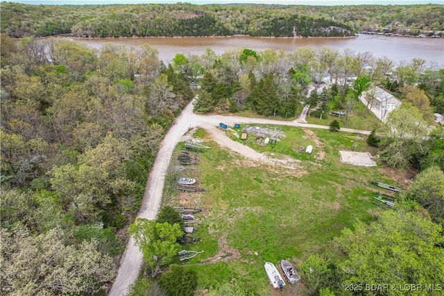 34 Glenmeadows Ct, Linn Creek, MO 65052 - aerial view of property's location with a forest and a large body of water