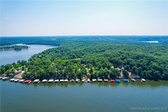 34 Glenmeadows Ct, Linn Creek, MO 65052 - bird's eye view of a large body of water