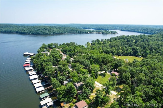 34 Glenmeadows Ct, Linn Creek, MO 65052 - bird's eye view of a large body of water