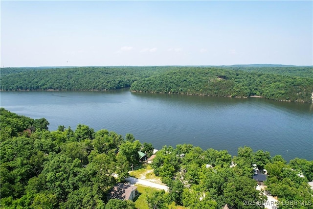 34 Glenmeadows Ct, Linn Creek, MO 65052 - bird's eye view of a forest and a nearby body of water