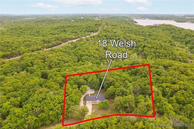view of property location with a heavily wooded area and property parcel outlined