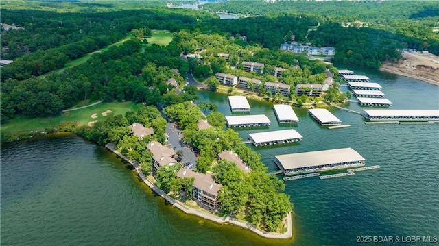 bird's eye view of a large body of water and a heavily wooded area