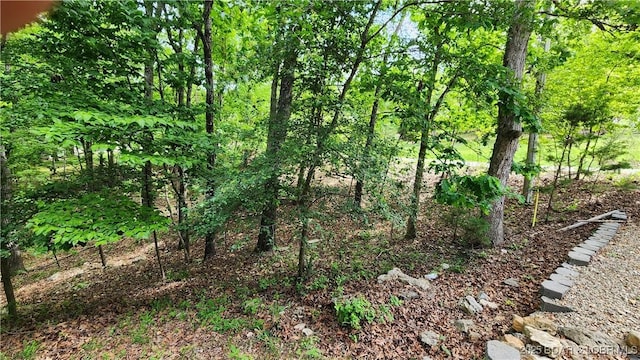 view of nature