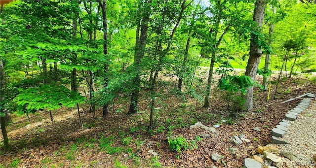 view of local wilderness