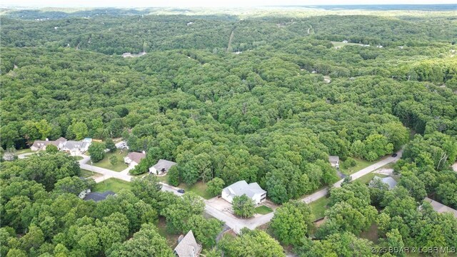 24 Brookshire Ln, Camdenton, MO 65020 - photo 48