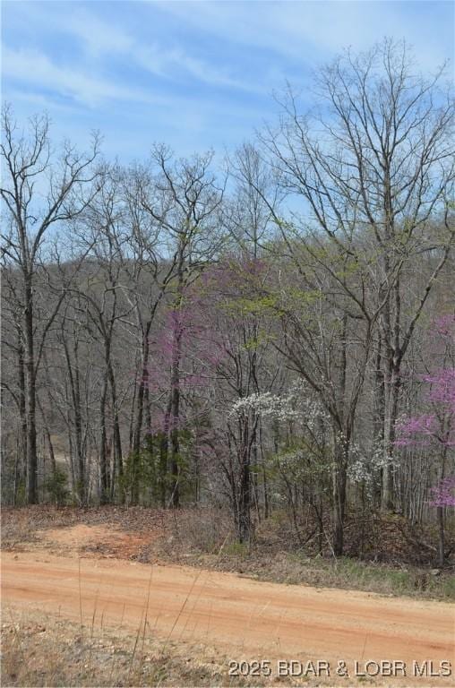 TRACT514 Bobcat Rd, Stover, MO 65078