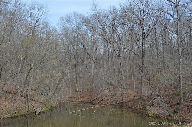 TRACT514 Bobcat Rd, Stover, MO 65078