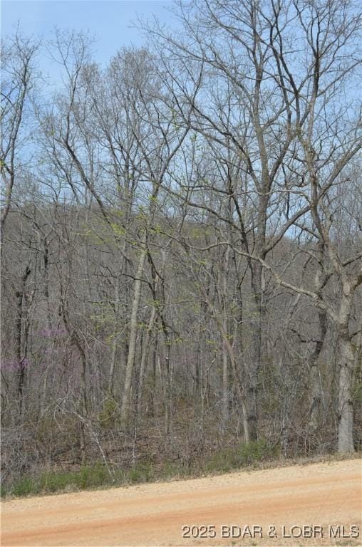 TRACT514 Bobcat Rd, Stover, MO 65078