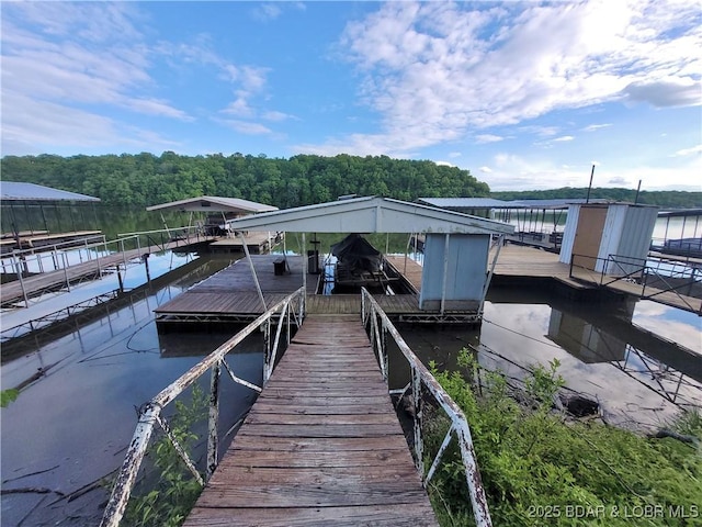 dock area featuring a view of trees