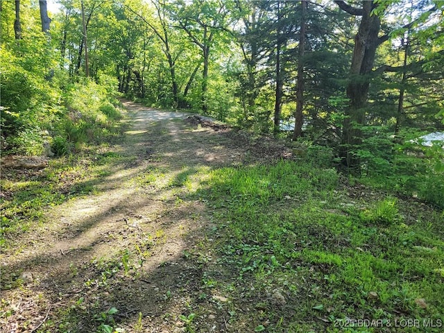 view of dirt / gravel road featuring a wooded view
