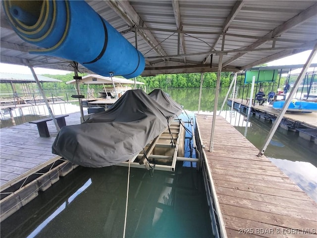 dock with boat lift and a water view