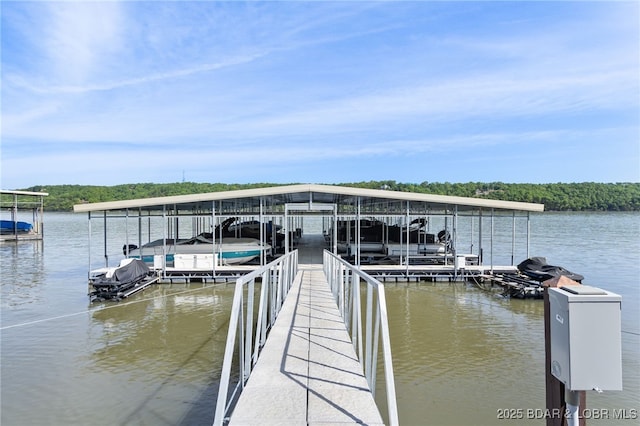 dock with a water view