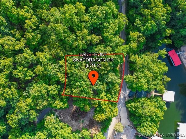 LOT2 Snap Dragon Dr, Camdenton, MO 65020