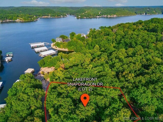 LOT2 Snap Dragon Dr, Camdenton, MO 65020