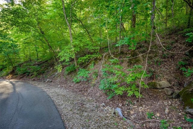 LOT2 Snap Dragon Dr, Camdenton, MO 65020