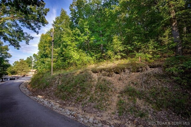 LOT2 Snap Dragon Dr, Camdenton, MO 65020