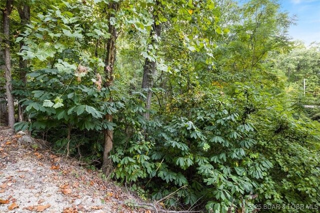 LOT2 Snap Dragon Dr, Camdenton, MO 65020