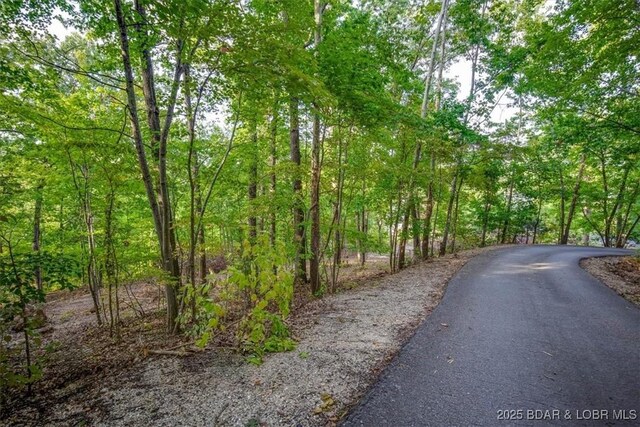 LOT2 Snap Dragon Dr, Camdenton, MO 65020
