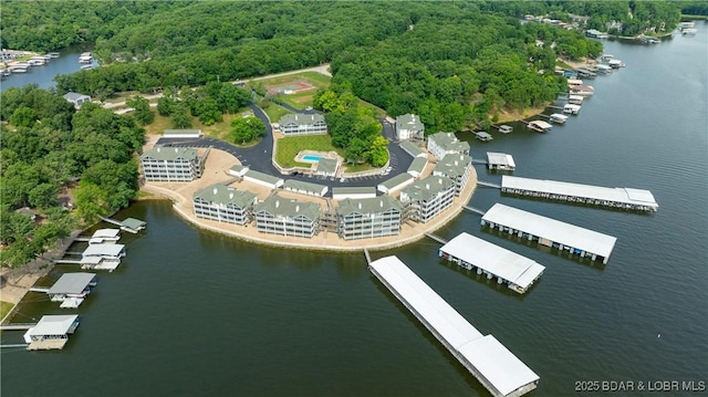 aerial view of a large body of water and a heavily wooded area