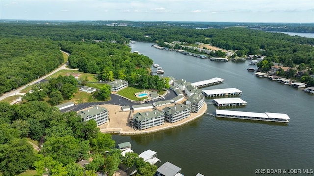 bird's eye view of a forest and a large body of water