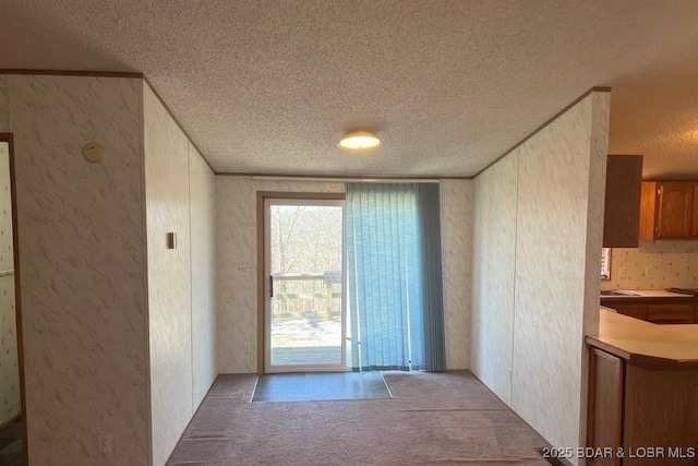20877 Twin Hills Dr, Warsaw, MO 65355 - unfurnished dining area with a textured ceiling, carpet flooring, a textured wall, and a sink