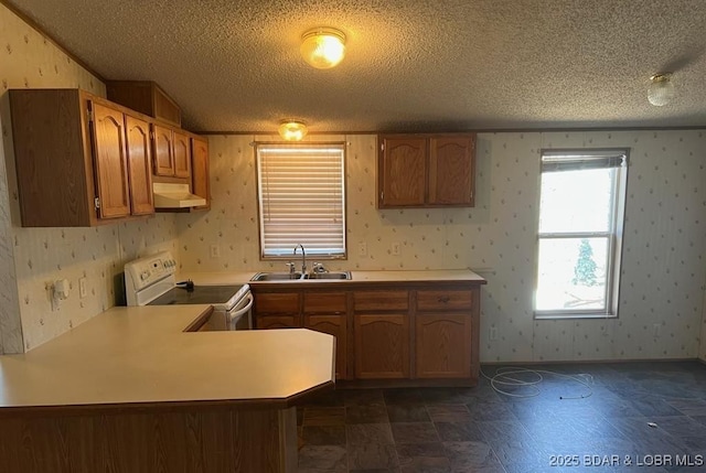 20877 Twin Hills Dr, Warsaw, MO 65355 - kitchen featuring electric range, a sink, under cabinet range hood, a textured ceiling, and brown cabinets