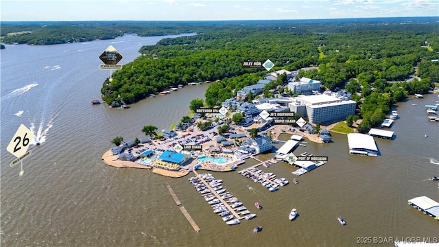 aerial view of a forest and a nearby body of water